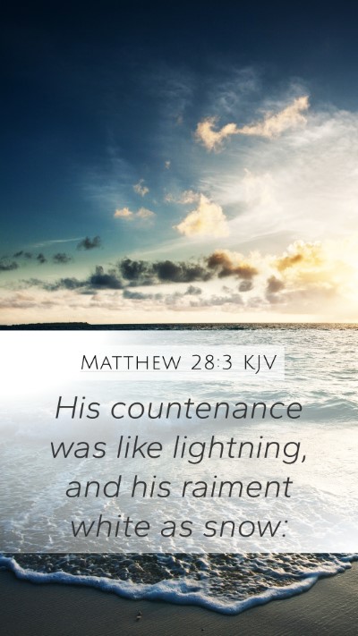 Matthew 28:3 KJV Bible Verse Image