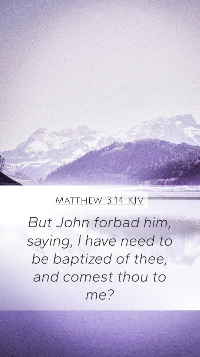 Matthew 3:14 KJV Bible Verse Image