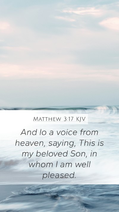 Matthew 3:17 KJV Bible Verse Image