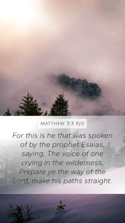 Matthew 3:3 KJV Bible Verse Image