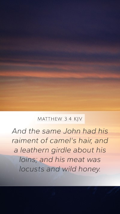 Matthew 3:4 KJV Bible Verse Image