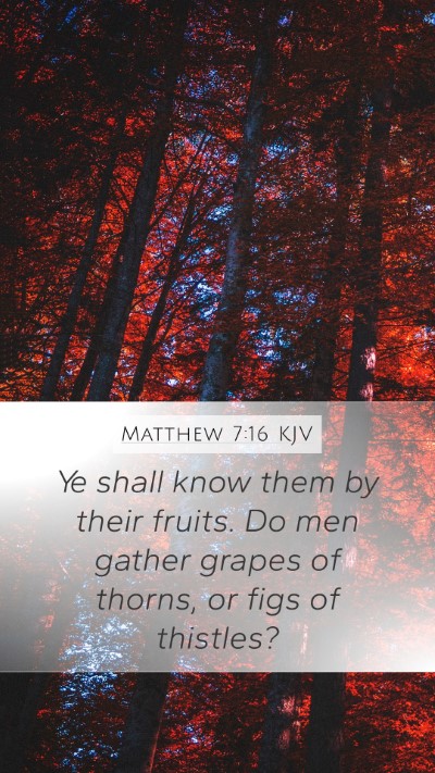 Matthew 7:16 KJV Bible Verse Image