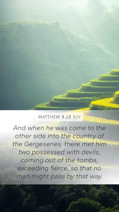 Matthew 8:28 KJV Bible Verse Image