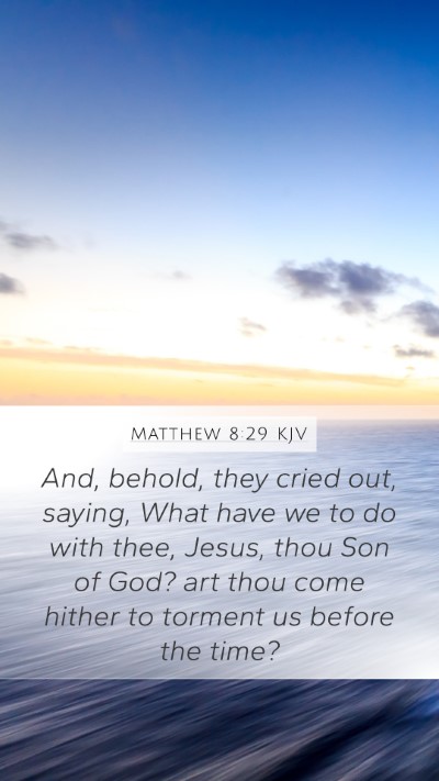 Matthew 8:29 KJV Bible Verse Image