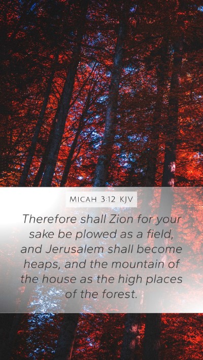Micah 3:12 KJV Bible Verse Image