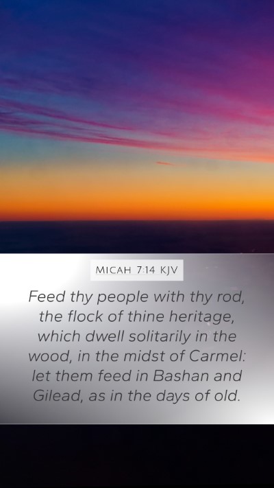 Micah 7:14 KJV Bible Verse Image