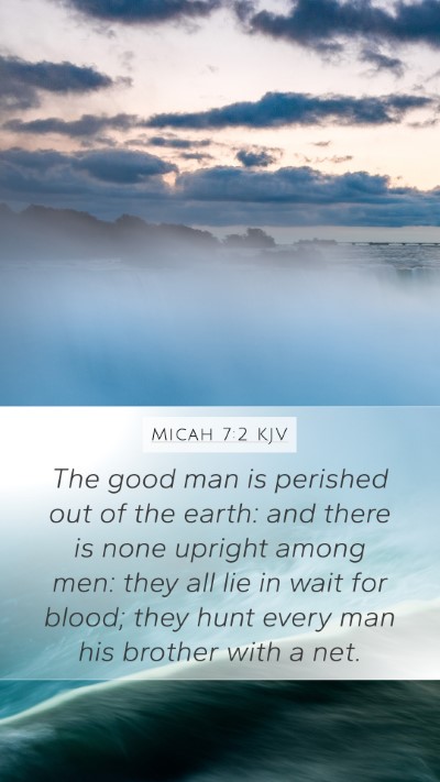 Micah 7:2 KJV Bible Verse Image