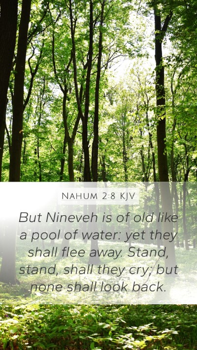 Nahum 2:8 KJV Bible Verse Image