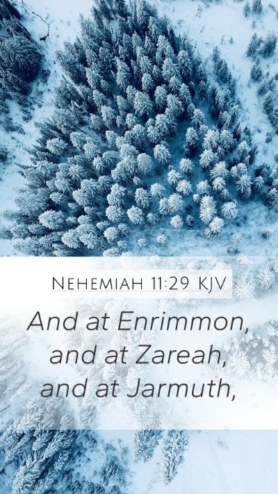 Nehemiah 11:29 KJV Bible Verse Image