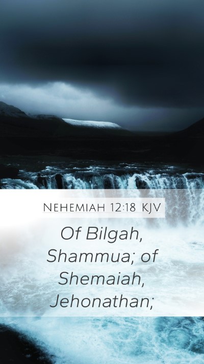 Nehemiah 12:18 KJV Mobile Phone Wallpaper - Of Bilgah, Shammua; of Shemaiah, - Mobile Bible Verse Wallpaper