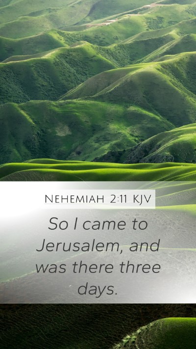 Nehemiah 2:11 KJV Mobile Phone Wallpaper - So I came to Jerusalem, and was there three - Mobile Bible Verse Wallpaper