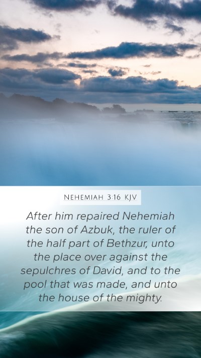 Nehemiah 3:16 KJV Bible Verse Image