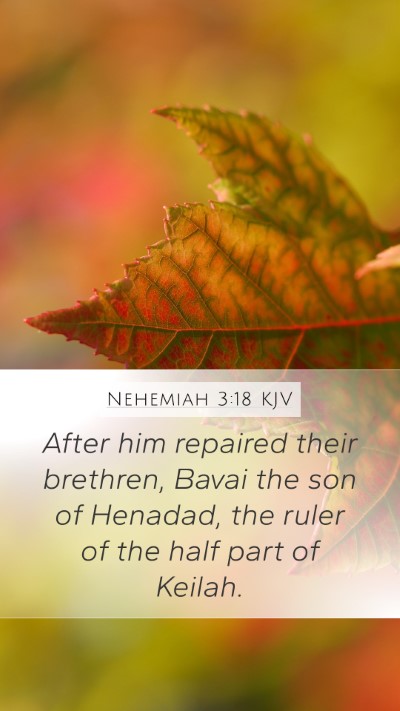 Nehemiah 3:18 KJV Mobile Phone Wallpaper - After him repaired their brethren, Bavai the son - Mobile Bible Verse Wallpaper