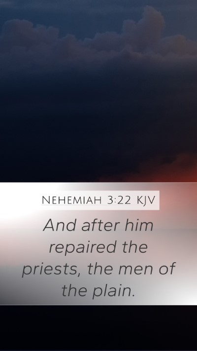 Nehemiah 3:22 KJV Mobile Phone Wallpaper - And after him repaired the priests, the men of - Mobile Bible Verse Wallpaper
