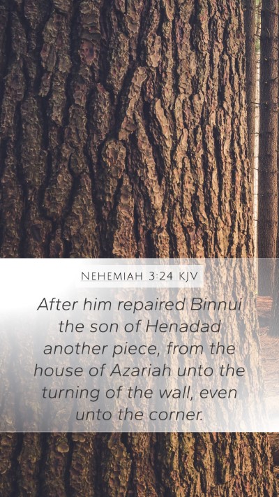 Nehemiah 3:24 KJV Mobile Phone Wallpaper - After him repaired Binnui the son of Henadad - Mobile Bible Verse Wallpaper