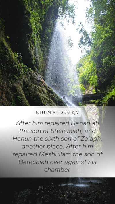 Nehemiah 3:30 KJV Bible Verse Image