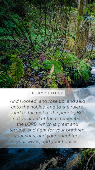 Nehemiah 4:14 KJV Bible Verse Image
