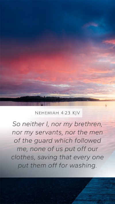 Nehemiah 4:23 KJV Bible Verse Image