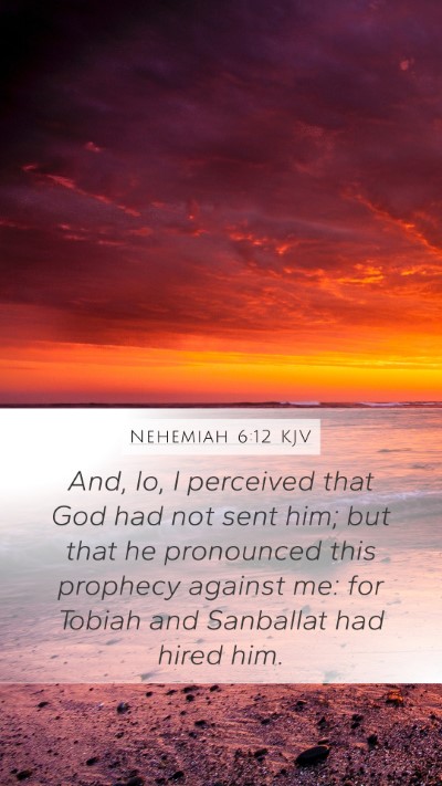 Nehemiah 6:12 KJV Bible Verse Image