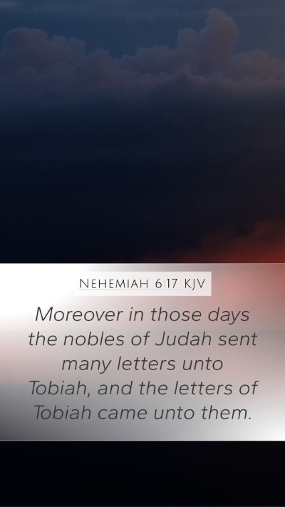 Nehemiah 6:17 KJV Bible Verse Image