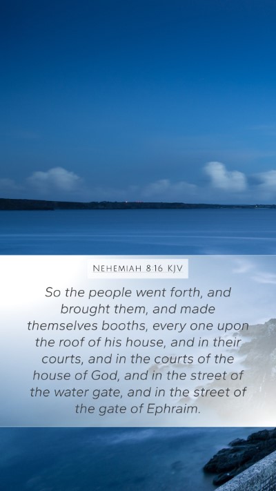 Nehemiah 8:16 KJV Bible Verse Image