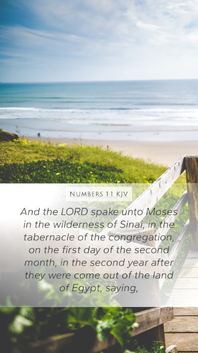 Numbers 1:1 KJV Mobile Phone Wallpaper - And the LORD spake unto Moses in the wilderness - Mobile Bible Verse Wallpaper