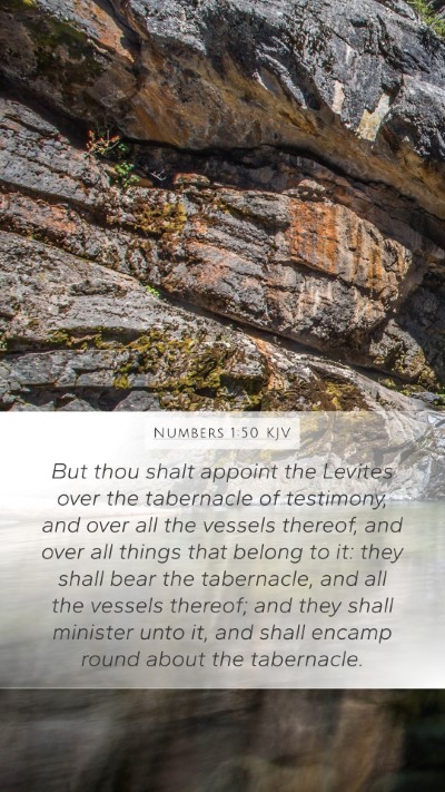 Numbers 1:50 KJV Mobile Phone Wallpaper - But thou shalt appoint the Levites over the - Mobile Bible Verse Wallpaper