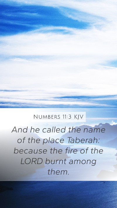 Numbers 11:3 KJV Mobile Phone Wallpaper - And he called the name of the place Taberah: - Mobile Bible Verse Wallpaper