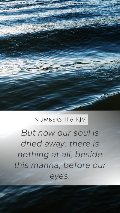 Numbers 11:6 KJV Mobile Phone Wallpaper - But now our soul is dried away: there is nothing - Mobile Bible Verse Wallpaper