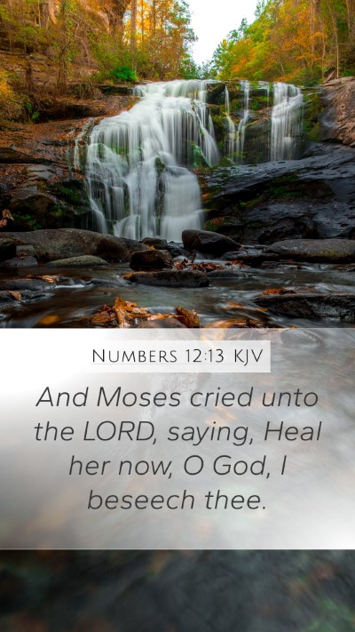 Numbers 12:13 KJV Bible Verse Image
