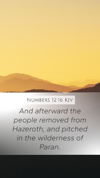 Numbers 12:16 KJV Bible Verse Image