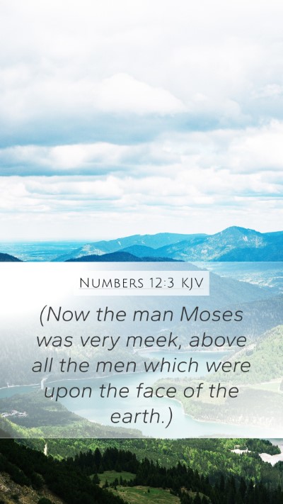 Numbers 12:3 KJV Bible Verse Image
