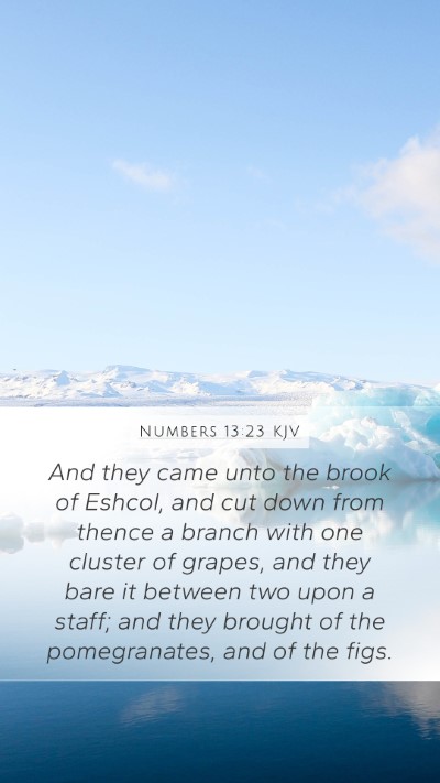 Numbers 13:23 KJV Bible Verse Image