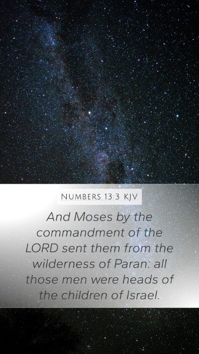 Numbers 13:3 KJV Bible Verse Image