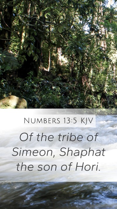 Numbers 13:5 KJV Mobile Phone Wallpaper - Of the tribe of Simeon, Shaphat the son of - Mobile Bible Verse Wallpaper