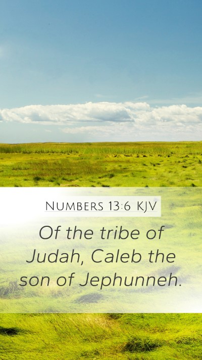 Numbers 13:6 KJV Bible Verse Image