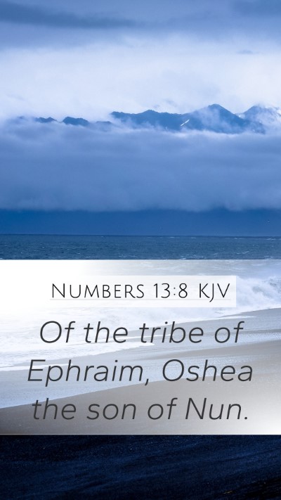 Numbers 13:8 KJV Bible Verse Image