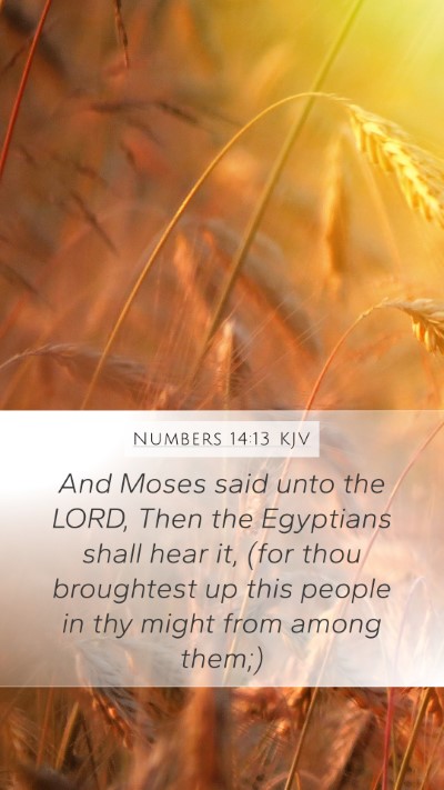 Numbers 14:13 KJV Bible Verse Image