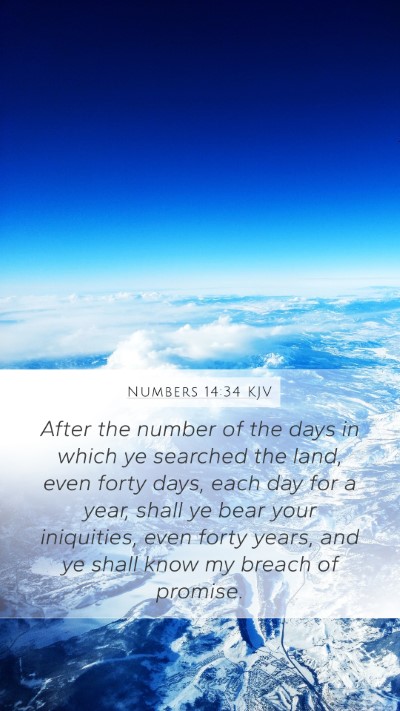 Numbers 14:34 KJV Bible Verse Image