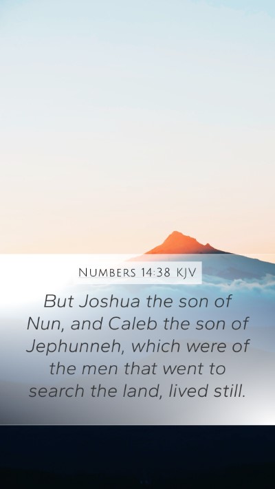 Numbers 14:38 KJV Bible Verse Image