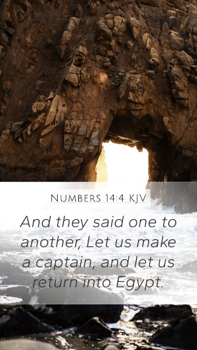 Numbers 14:4 KJV Bible Verse Image