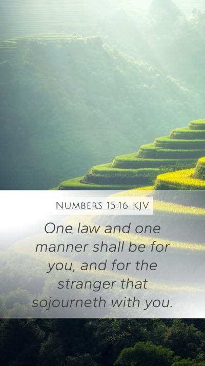 Numbers 15:16 KJV Mobile Phone Wallpaper - One law and one manner shall be for you, and for - Mobile Bible Verse Wallpaper
