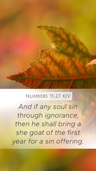Numbers 15:27 KJV Mobile Phone Wallpaper - And if any soul sin through ignorance, then he - Mobile Bible Verse Wallpaper
