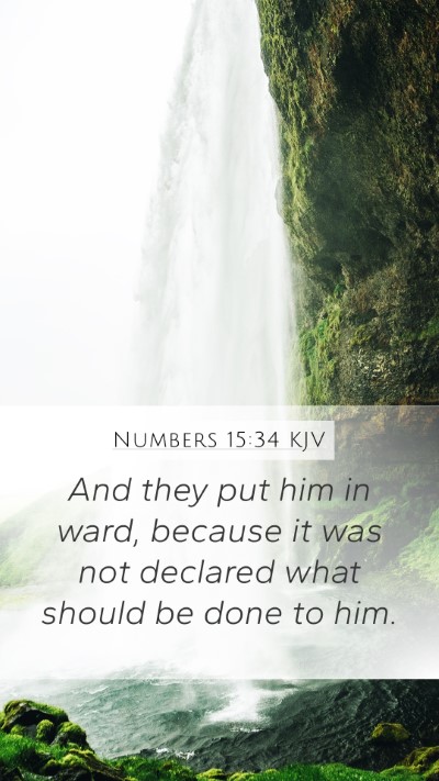 Numbers 15:34 KJV Bible Verse Image