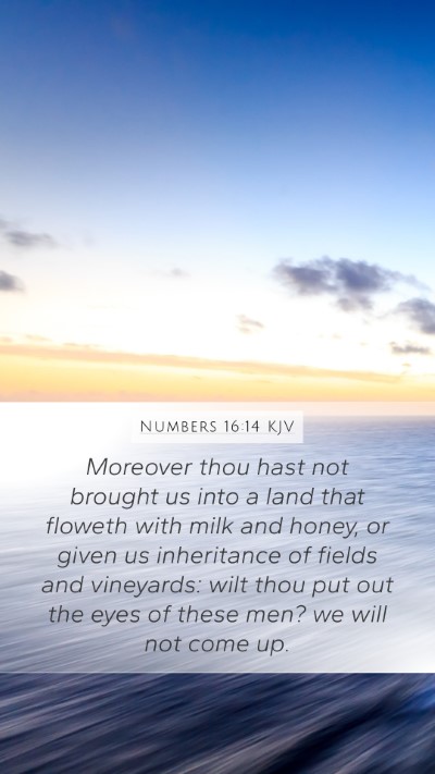 Numbers 16:14 KJV Bible Verse Image