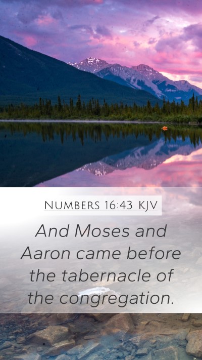 Numbers 16:43 KJV Mobile Phone Wallpaper - And Moses and Aaron came before the tabernacle of - Mobile Bible Verse Wallpaper