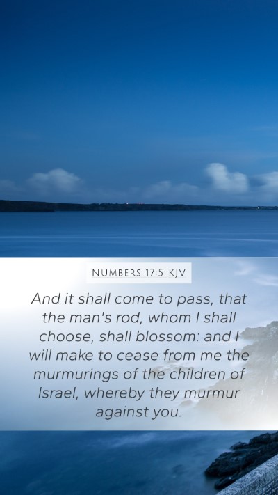 Numbers 17:5 KJV Bible Verse Image