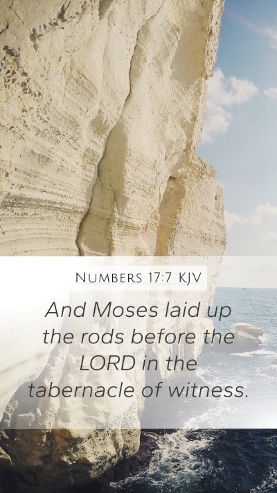 Numbers 17:7 KJV Bible Verse Image