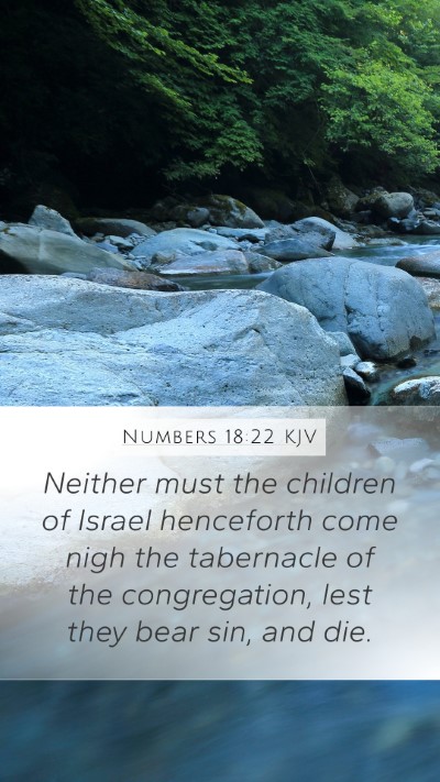 Numbers 18:22 KJV Bible Verse Image