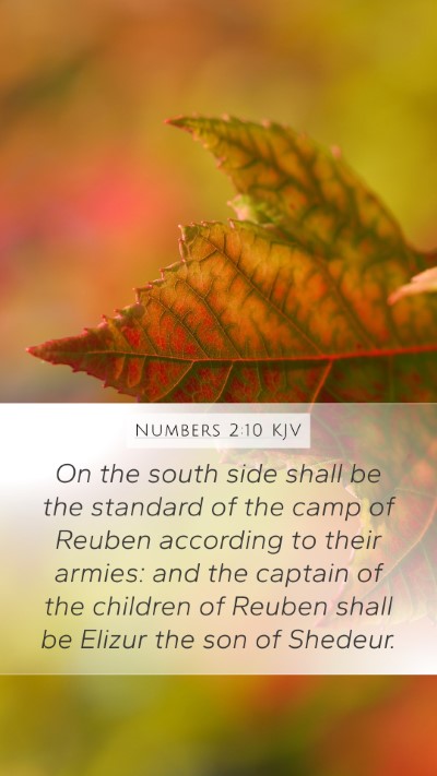 Numbers 2:10 KJV Bible Verse Image